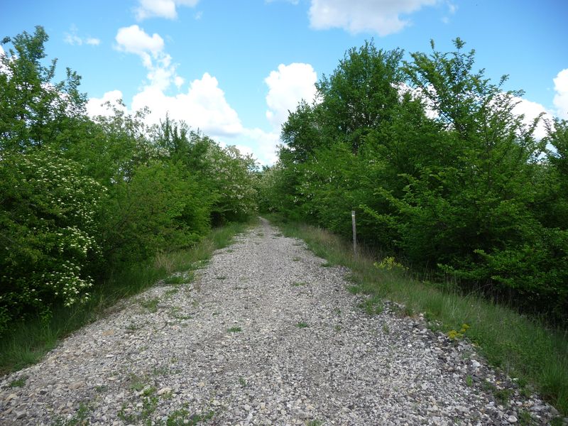 Plateforme de la ligne au lieudit "La Bastide"
Vue en direction du Teil
Avril 2011
