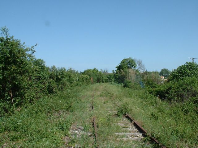 La ligne peu apr�s la gare de Lunel
Direction Arles

Mai 2002
