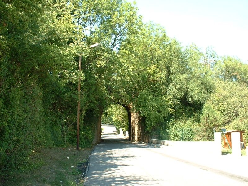 Pont au dessus du chemin de Cachenoix
Apr�s la viaduc de Francheville, la ligne continuait en remblai et passait au dessus du chemin de Cachenoix.

La direction de Lyon est à gauche
Août 2003
