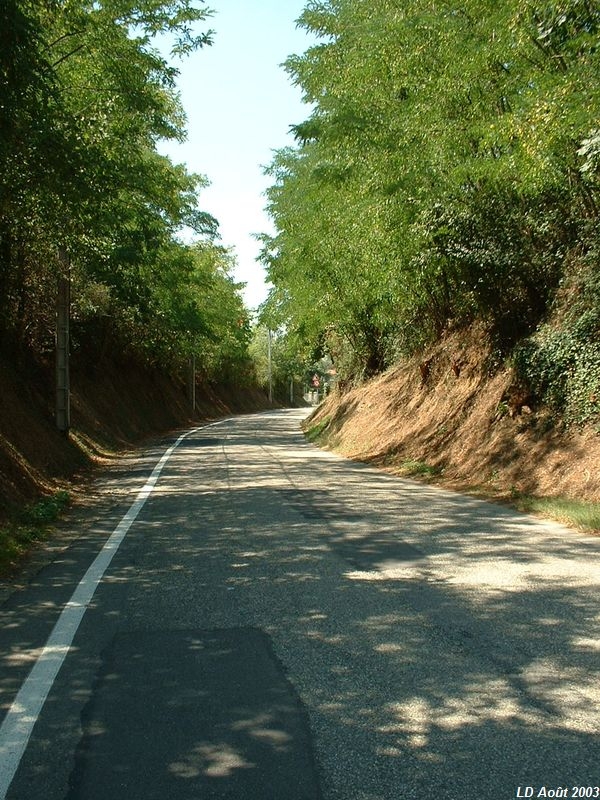 Plateforme de la ligne entre Francheville et Craponne
Vue en direction de Mornant
Août 2003
