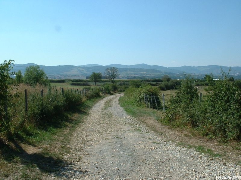 Plateforme de la ligne entre Messimy et Soucieu-en-Jarrest
Vue en direction de Mornant
Août 2003
