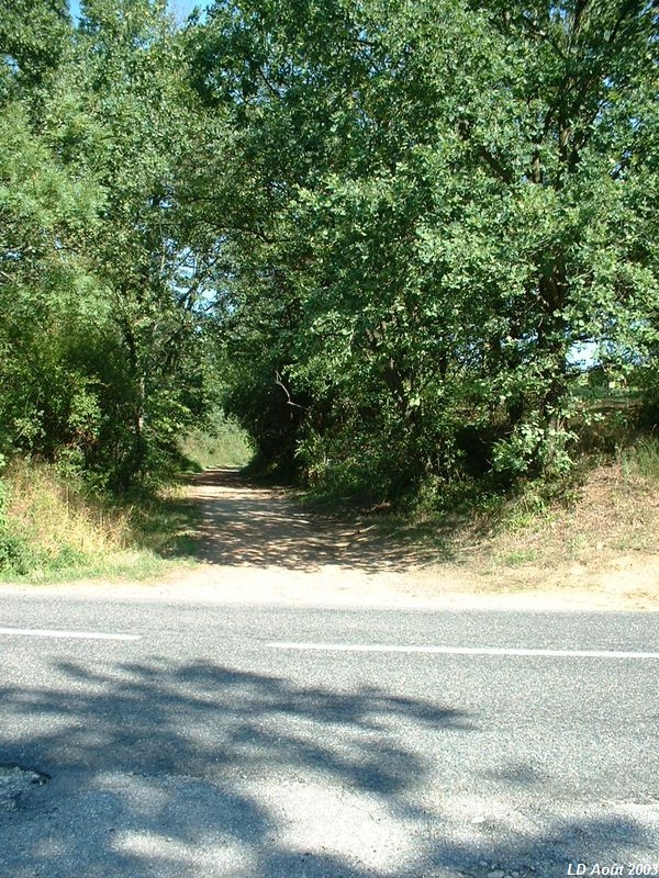 Plateforme de la ligne entre Soucieu-en-Jarrest et Mornant
Plateforme au croisement (à nouveau) avec la d�partementale 30

Vue en direction de Mornant
Août 2003
