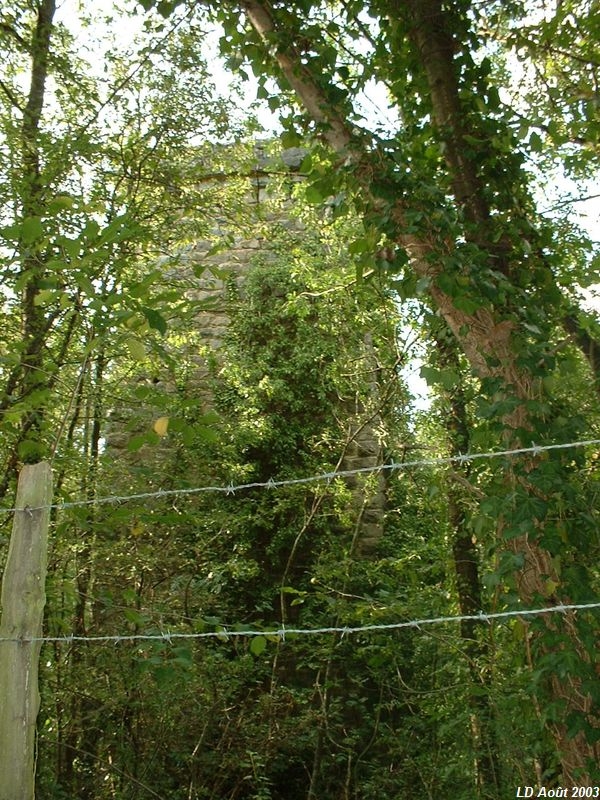 P�le du viaduc de Soucieu-en-Jarrest
Août 2003
