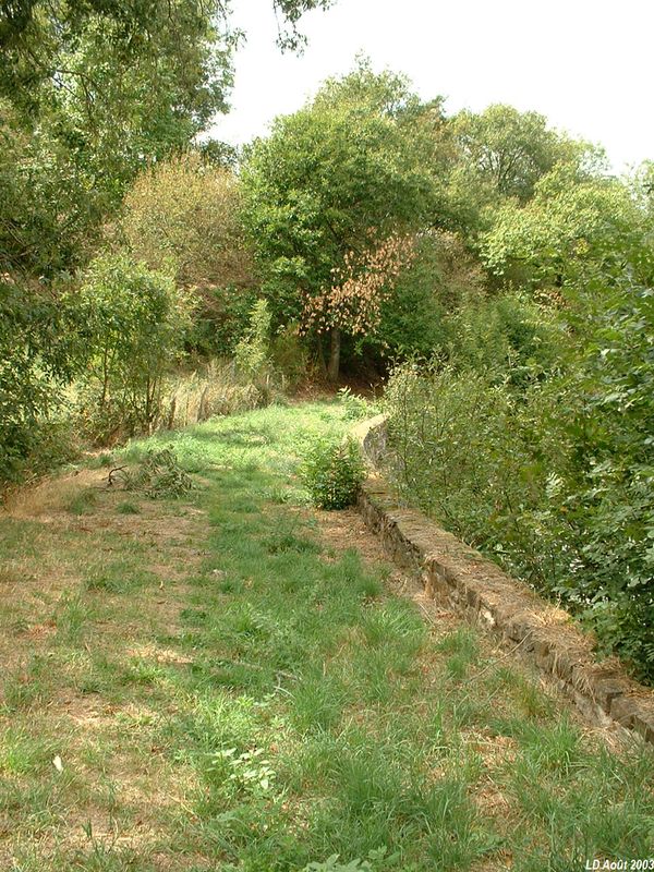 Plateforme de la ligne pr�s du lieudit "Bas de Frontfroide"
Vue en direction de Saint-Symphorien
Août 2003
