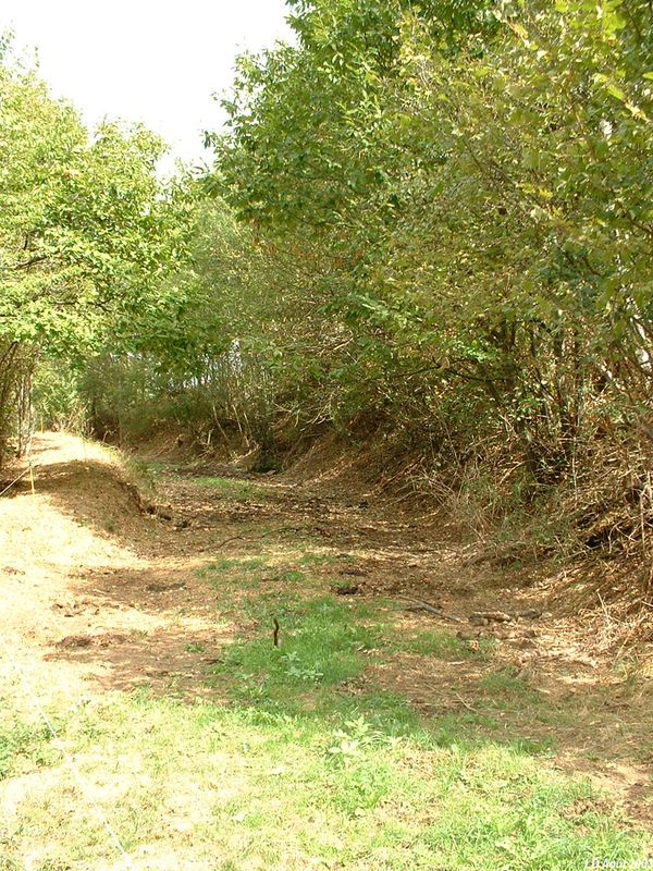 Plateforme de la ligne pr�s du lieudit "Bas de Frontfroide"
Vue en direction de Messimy
Août 2003
