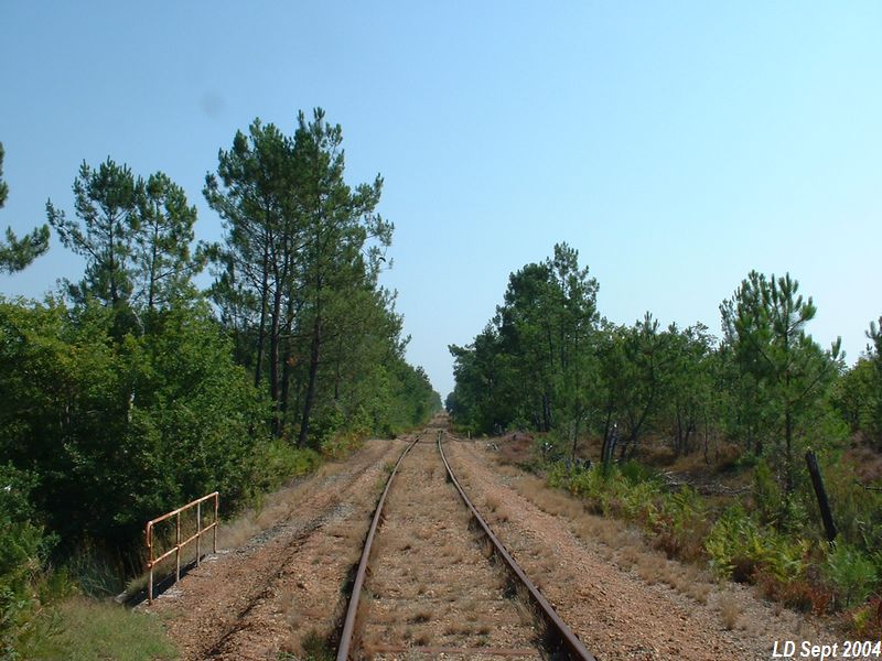 Peu apr�s le PN 132, la ligne entame un grand alignement jusqu�� Cl�rac
Vue en direction de Chateauneuf
Septembre 2004
