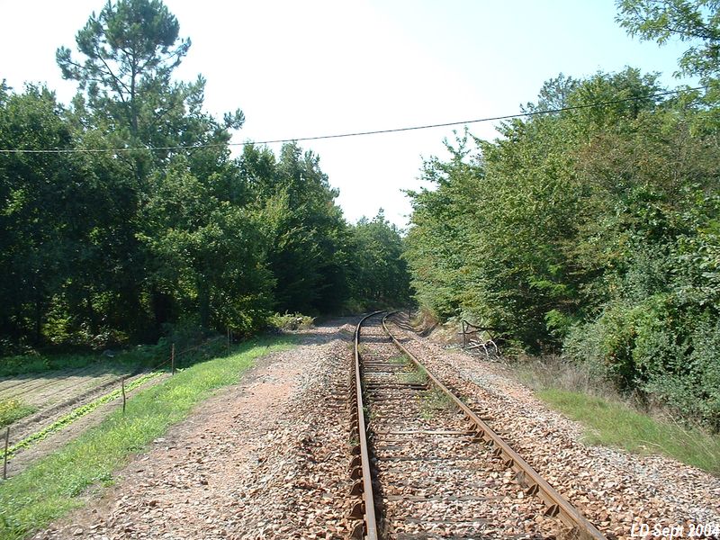 Ligne juste avant Cl�rac
Vue en direction de Saint-Mariens
Septembre 2004
