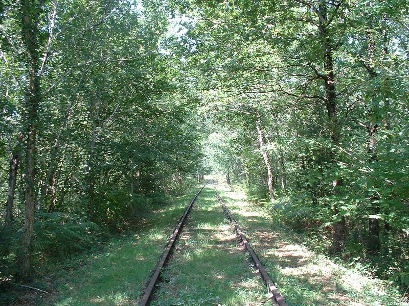 Ligne dans la forêt apr�s Saint-Mariens
Vue en direction de Saint-Mariens
Septembre 2004
