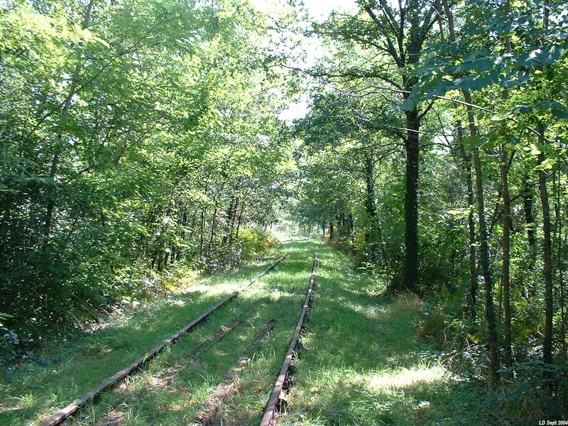 Ligne apr�s avoir franchi la D142
Vue en direction de Coutras
Septembre 2004
