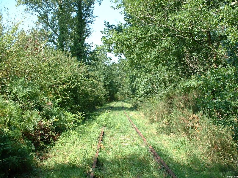Ligne dans la forêt pr�s du lieudit "Pigeau"
Vue en direction de Saint-Mariens
Septembre 2004
