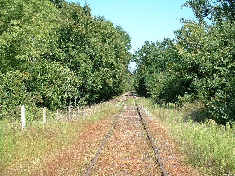 Entre Marcenais et Lapouyade
Vue en direction de Coutras
Septembre 2004
