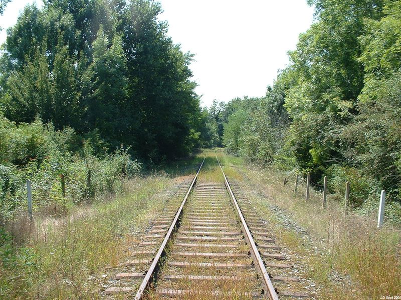 Entre Marcenais et Lapouyade
Vue en direction de Saint-Mariens
Septembre 2004

