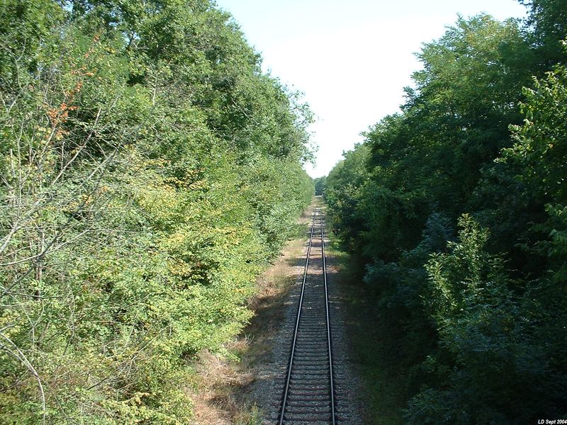 Entre Marcenais et Lapouyade
Vue en direction de Coutras
Septembre 2004
