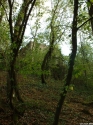 lyon_mornant_20030831_181600.jpg